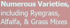 Numerous Varieties, including Ryegrass, Alfalfa, & Grass Mixes